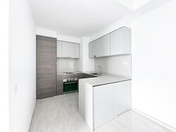 The Florence Residences (D19), Apartment #632954331